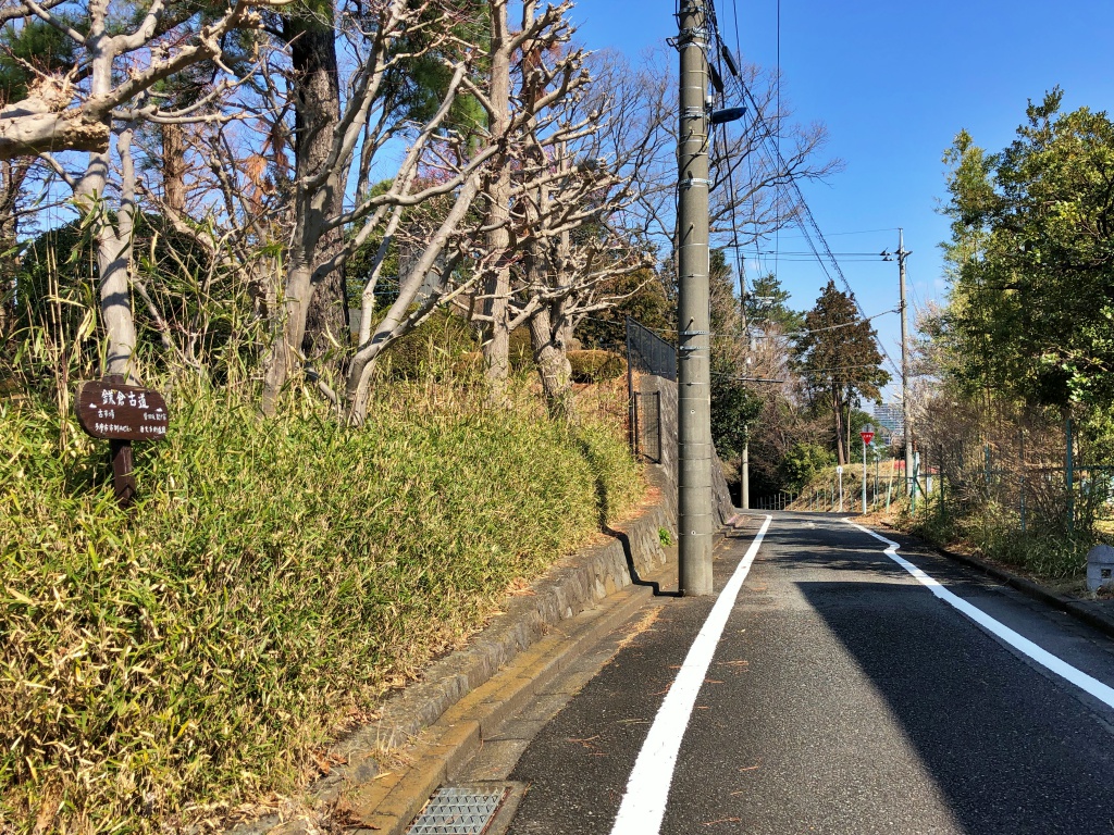 f:id:miwa3k:20190311141834j:plain