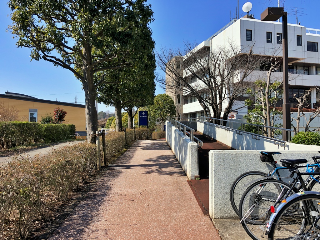 f:id:miwa3k:20190311141835j:plain