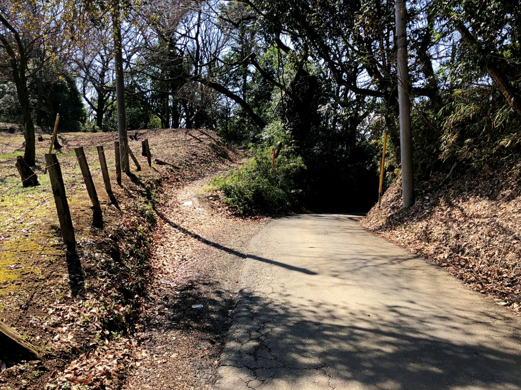 f:id:miwa3k:20190311141838j:plain