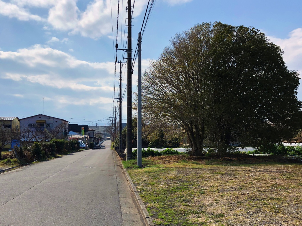 f:id:miwa3k:20190311141854j:plain