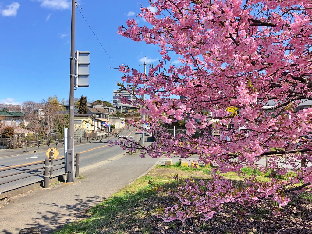 f:id:miwa3k:20190314151412j:plain f:id:miwa3k:20190314151412j:plain