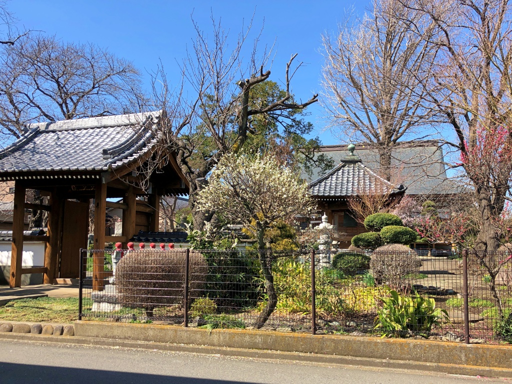 f:id:miwa3k:20190314151415j:plain f:id:miwa3k:20190314151415j:plain