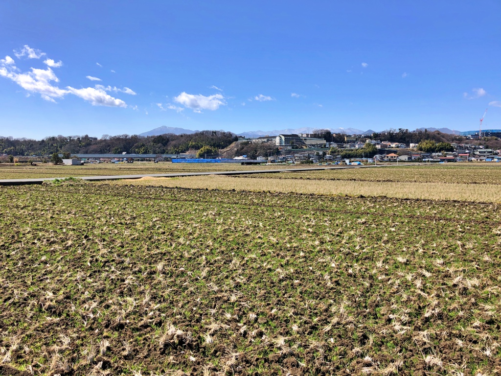 f:id:miwa3k:20190314151421j:plain f:id:miwa3k:20190314151421j:plain