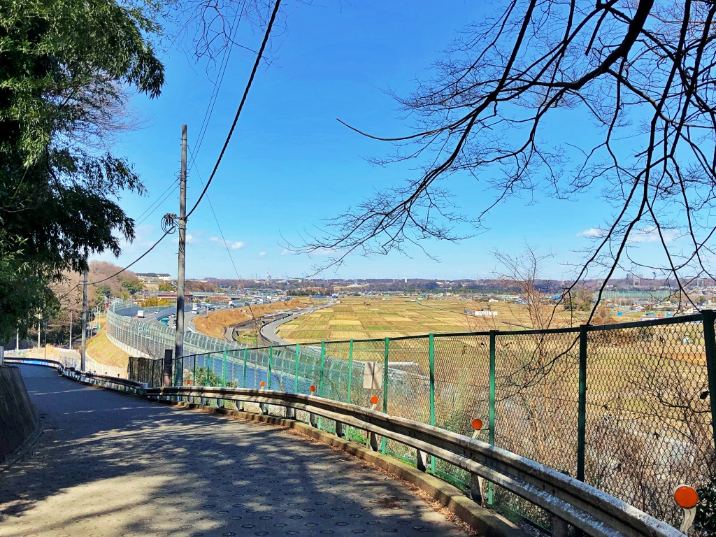 f:id:miwa3k:20190314151423j:plain f:id:miwa3k:20190314151423j:plain