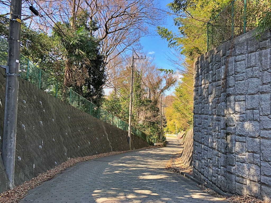 f:id:miwa3k:20190314151427j:plain f:id:miwa3k:20190314151427j:plain