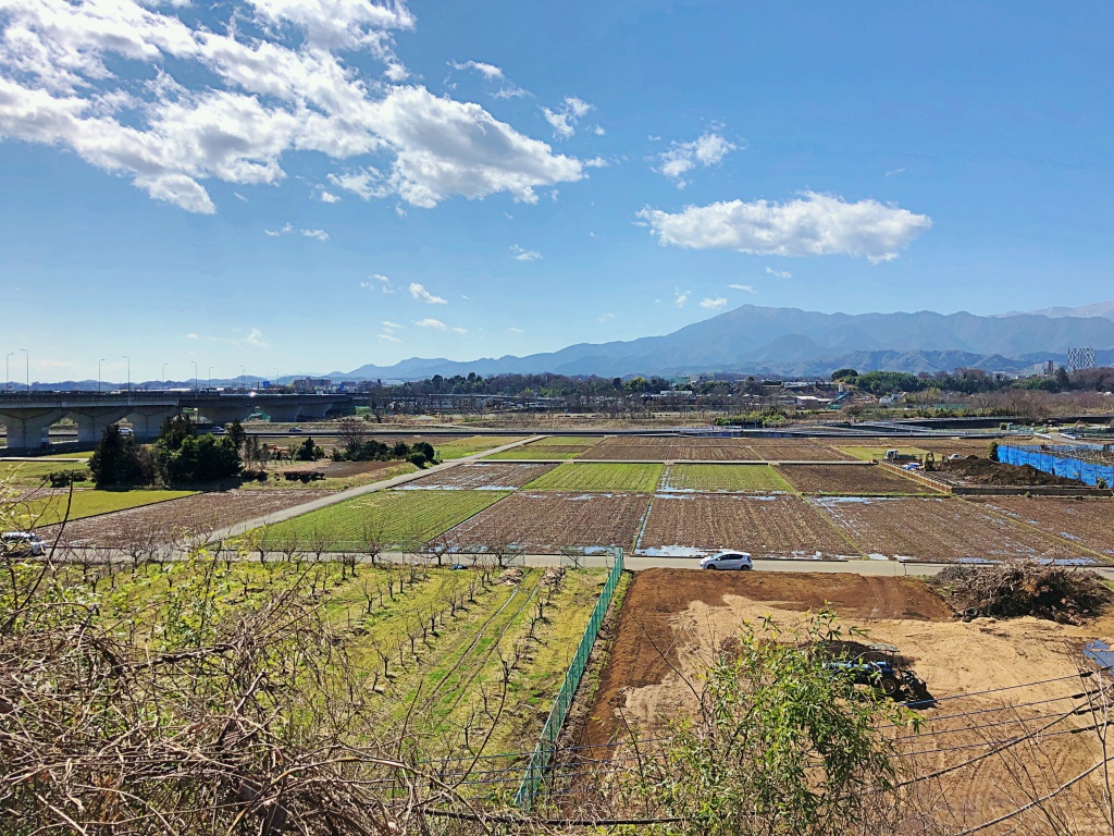 f:id:miwa3k:20190314151428j:plain f:id:miwa3k:20190314151428j:plain