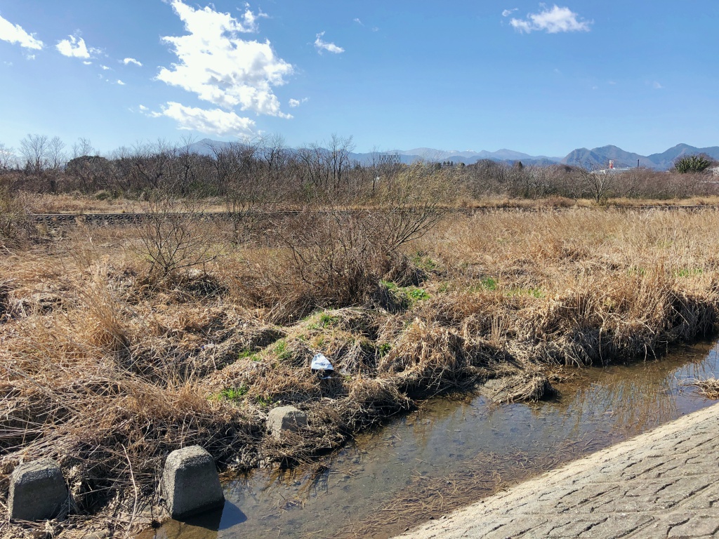 f:id:miwa3k:20190314151429j:plain f:id:miwa3k:20190314151429j:plain