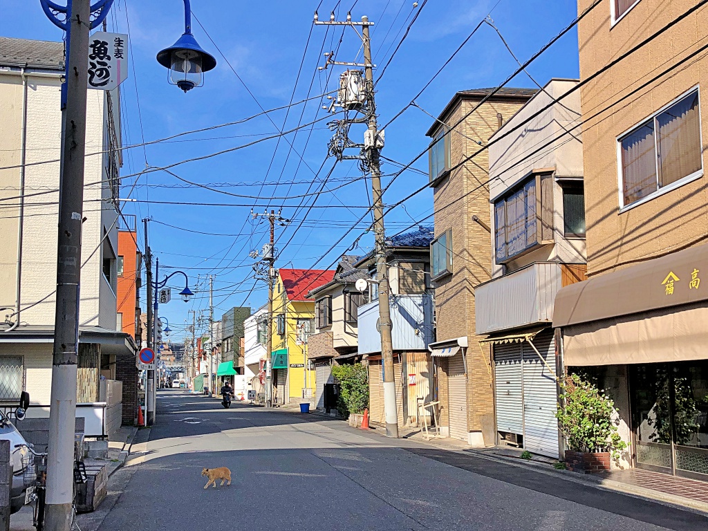 f:id:miwa3k:20190322114709j:plain
