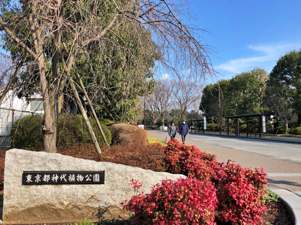f:id:miwa3k:20190325133013j:plain f:id:miwa3k:20190325133013j:plain