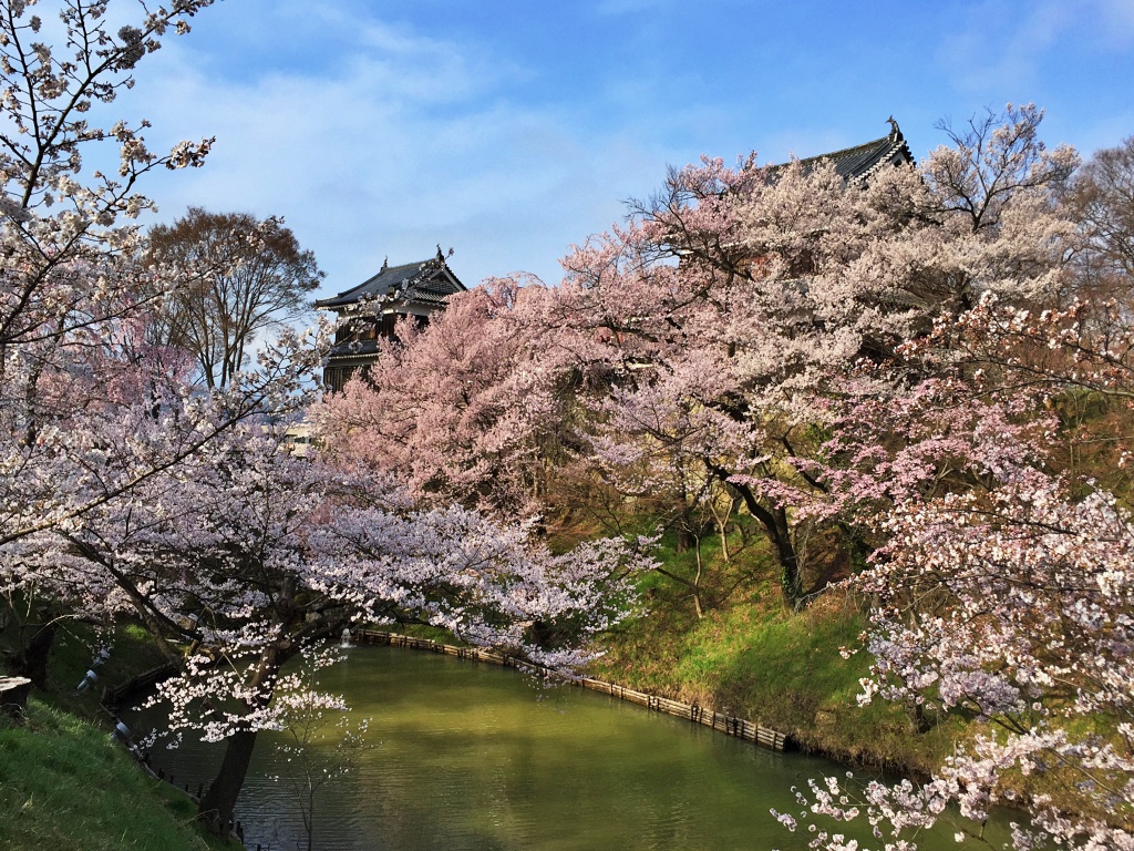 f:id:miwa3k:20190328152445j:plain