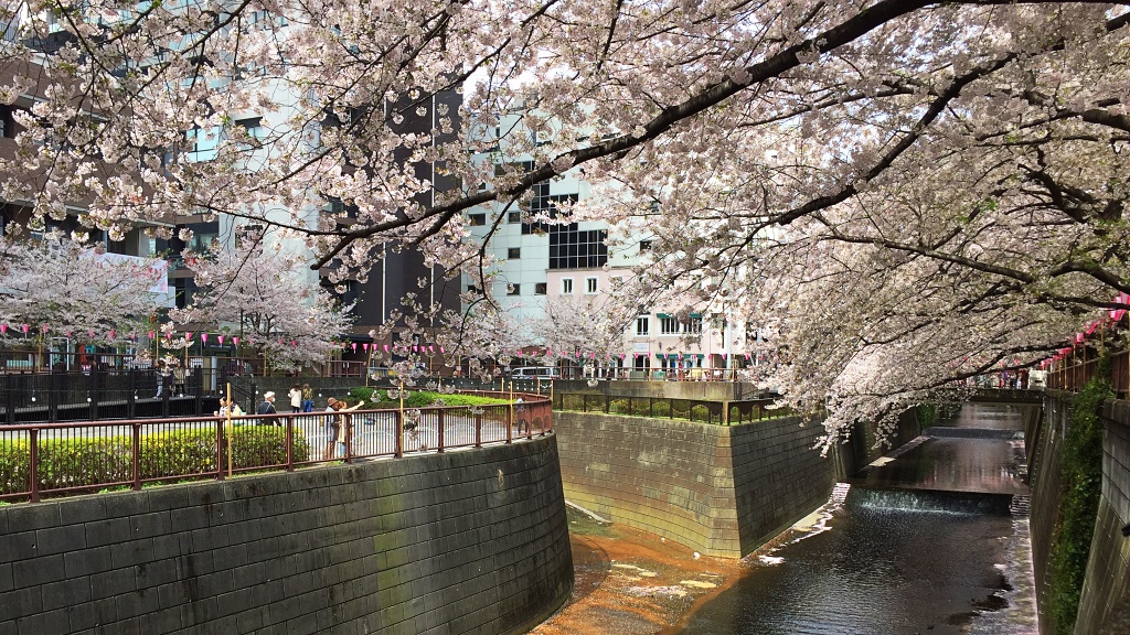 f:id:miwa3k:20190328152449j:plain