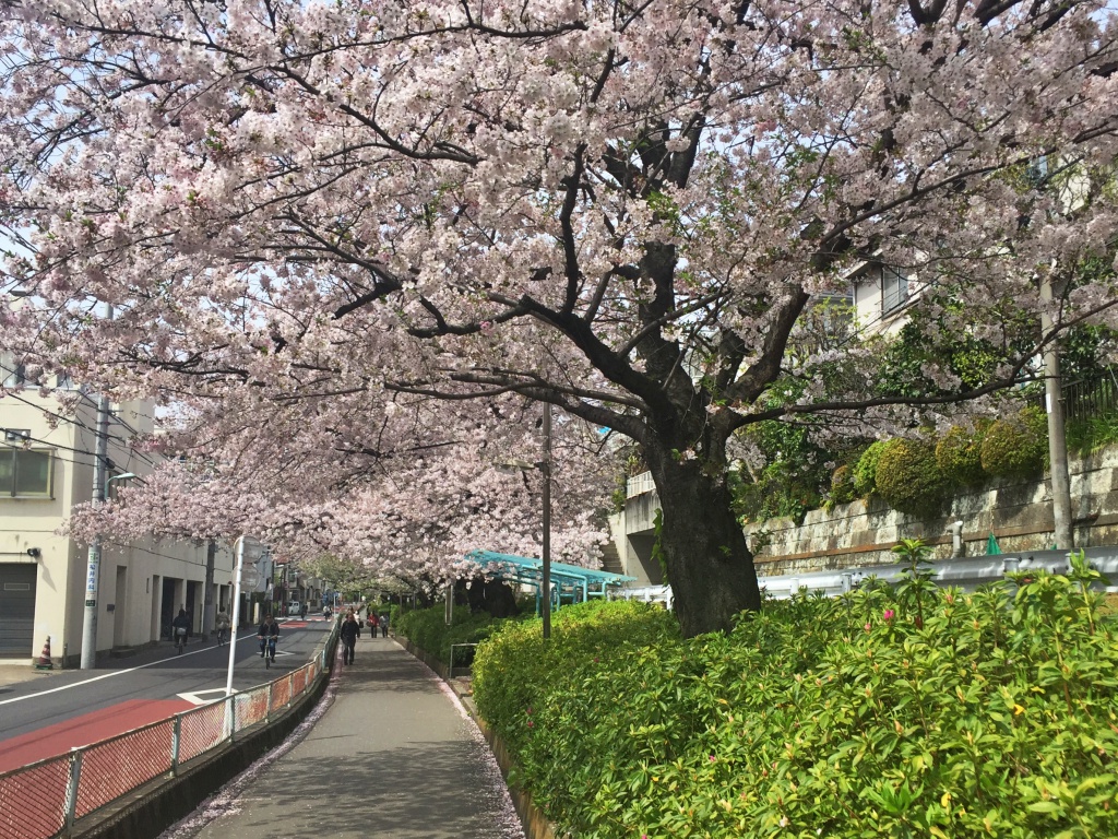 f:id:miwa3k:20190328152450j:plain