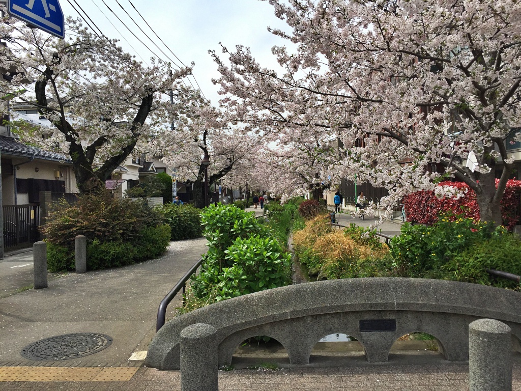 f:id:miwa3k:20190328152452j:plain