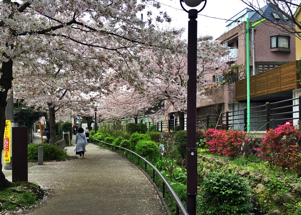 f:id:miwa3k:20190328152453j:plain