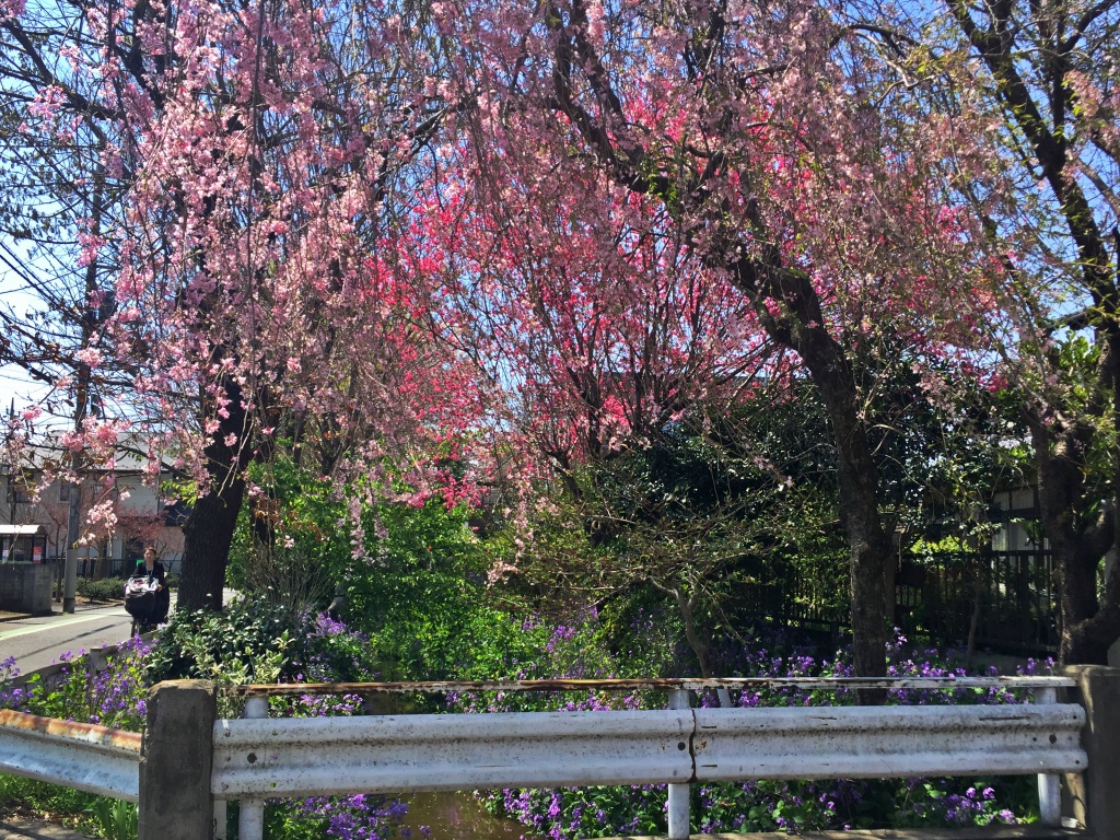 f:id:miwa3k:20190328152455j:plain
