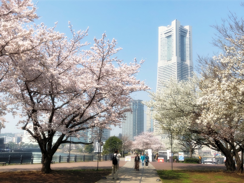 f:id:miwa3k:20190328152456j:plain