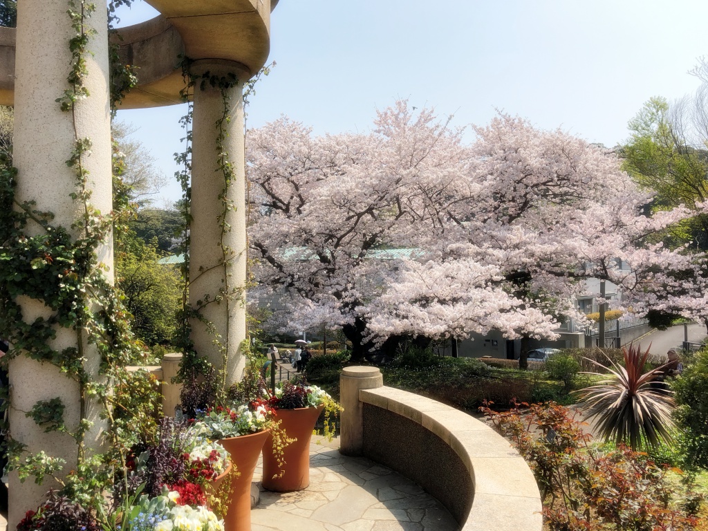 f:id:miwa3k:20190328152928j:plain