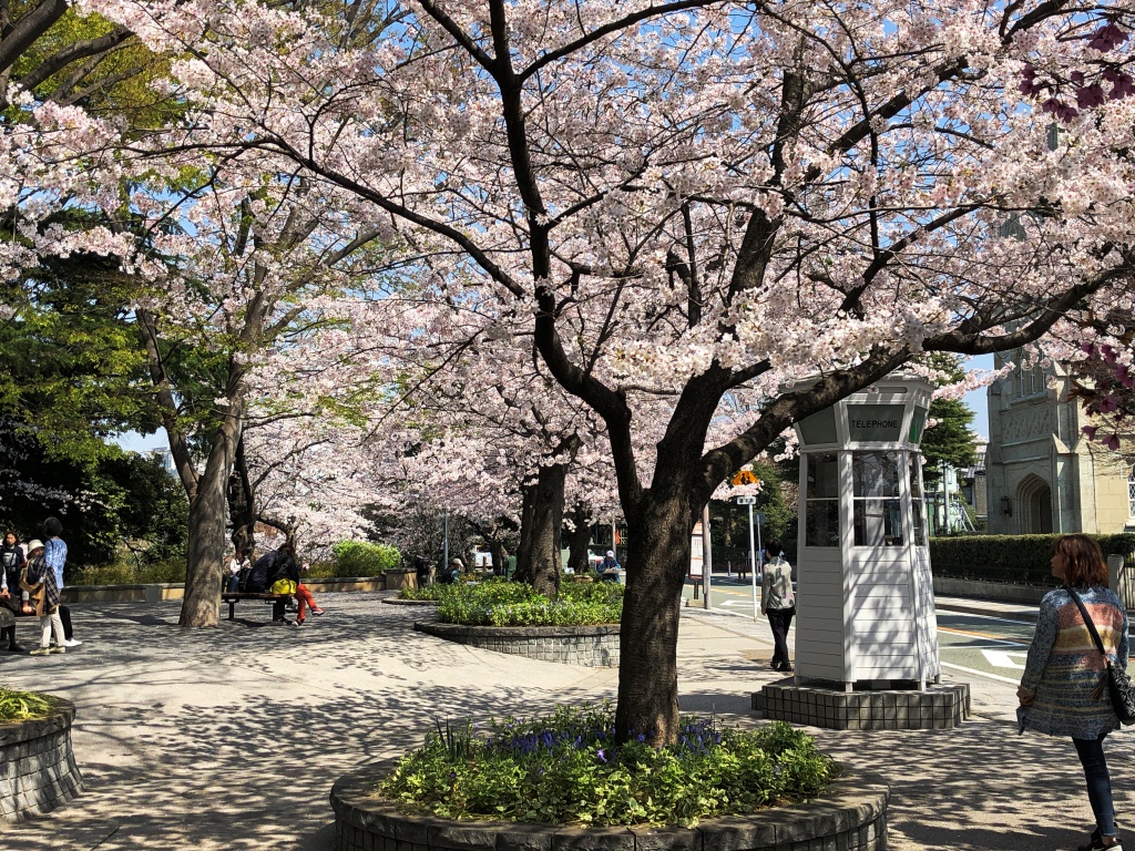 f:id:miwa3k:20190328152929j:plain