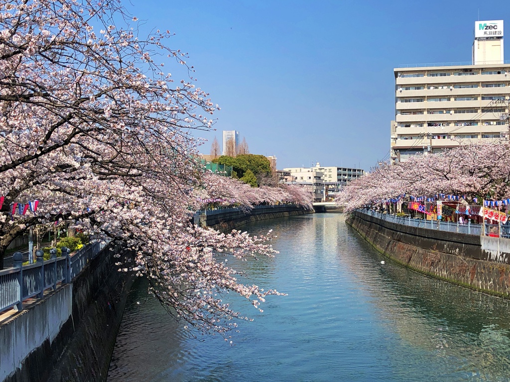 f:id:miwa3k:20190328152931j:plain