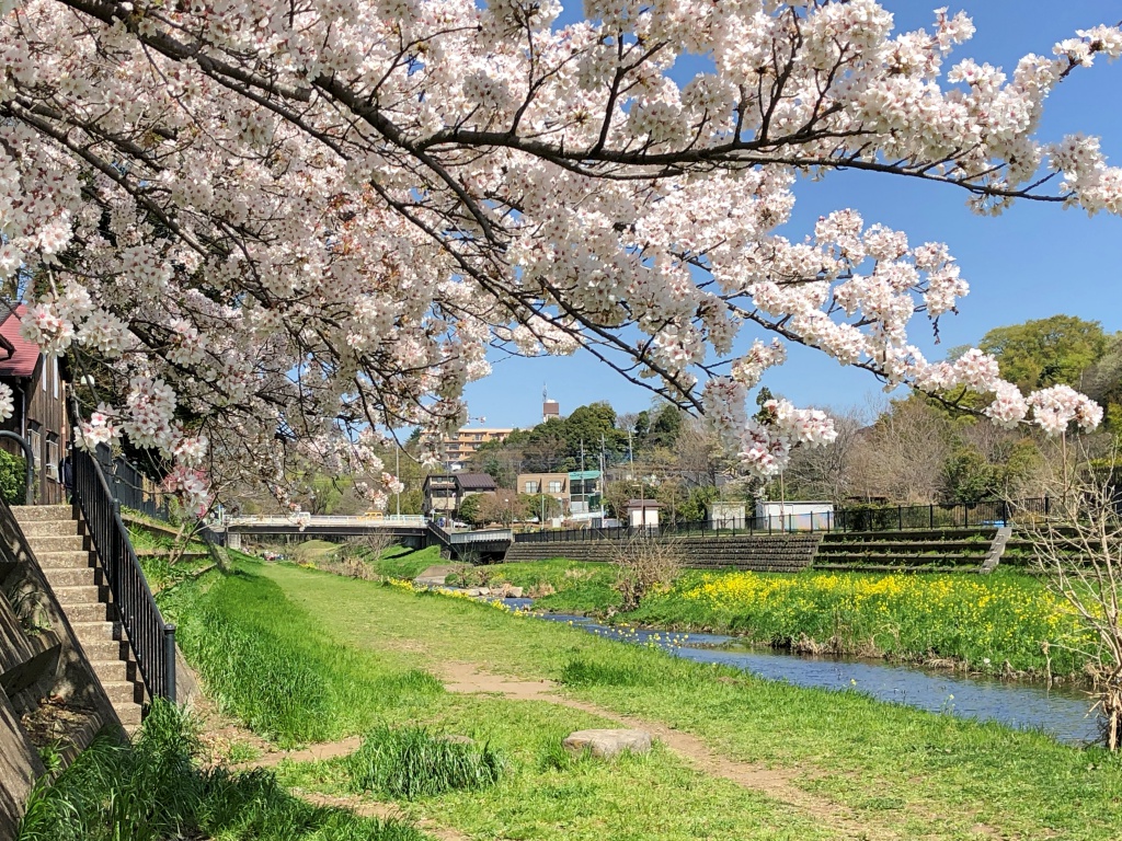 f:id:miwa3k:20190328152933j:plain