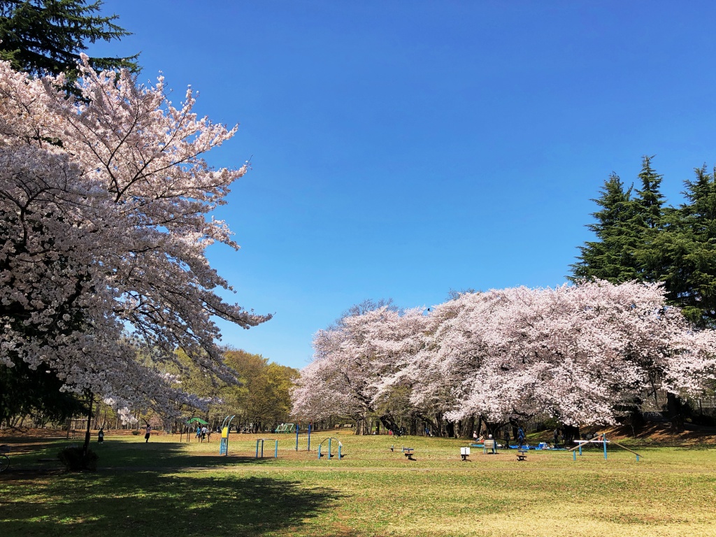 f:id:miwa3k:20190328152934j:plain