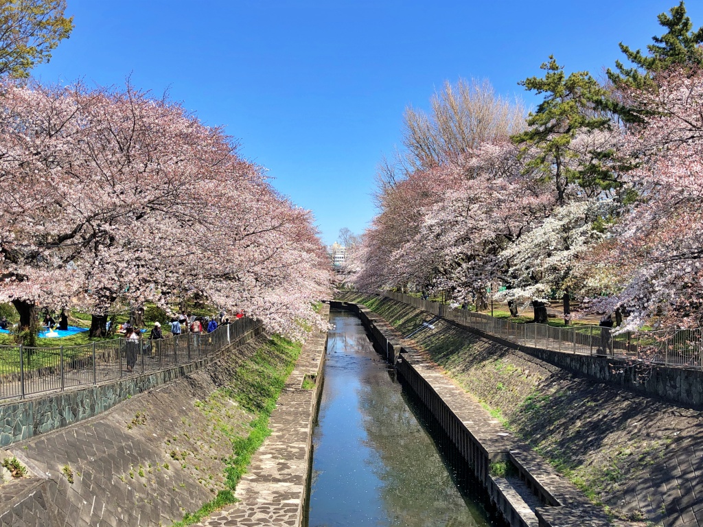f:id:miwa3k:20190405171045j:plain