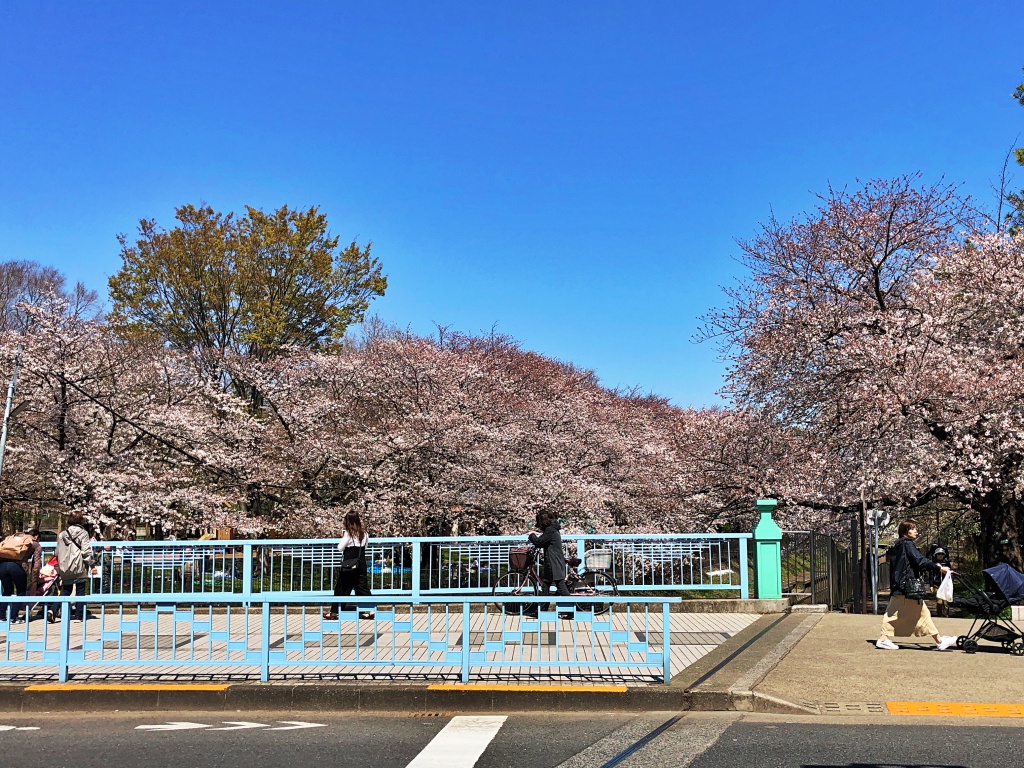 f:id:miwa3k:20190405171046j:plain