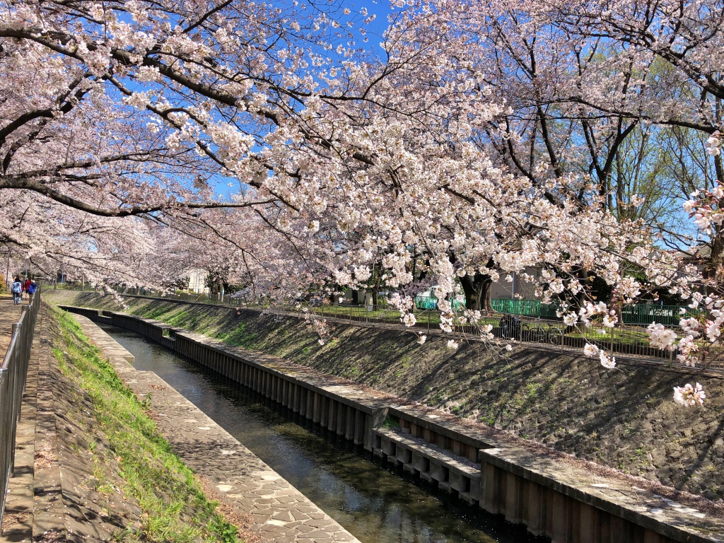 f:id:miwa3k:20190405171047j:plain