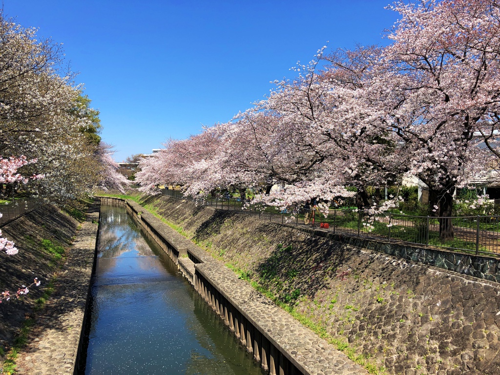 f:id:miwa3k:20190405171048j:plain