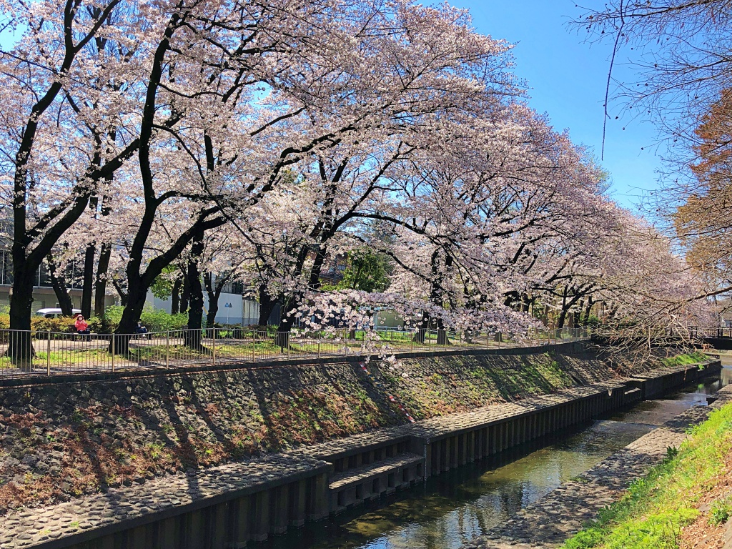 f:id:miwa3k:20190405171050j:plain