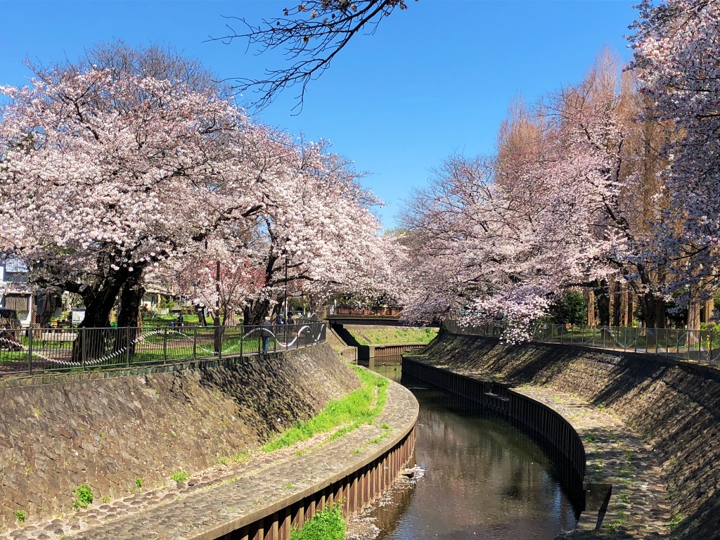 f:id:miwa3k:20190405171052j:plain