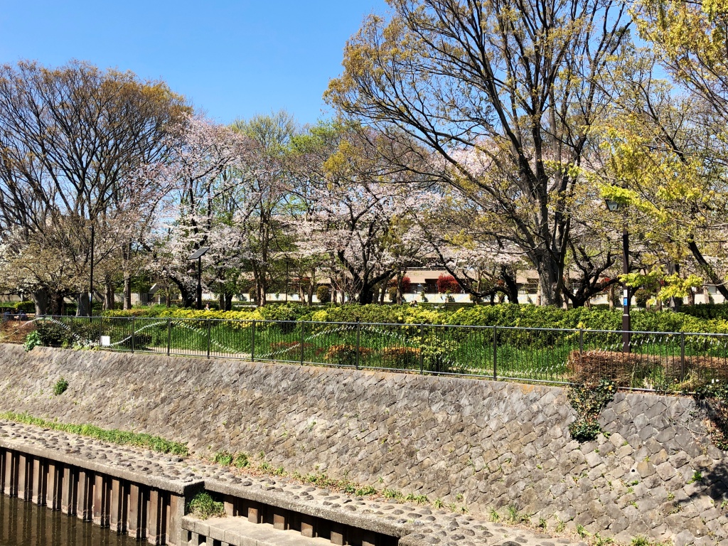 f:id:miwa3k:20190405171053j:plain