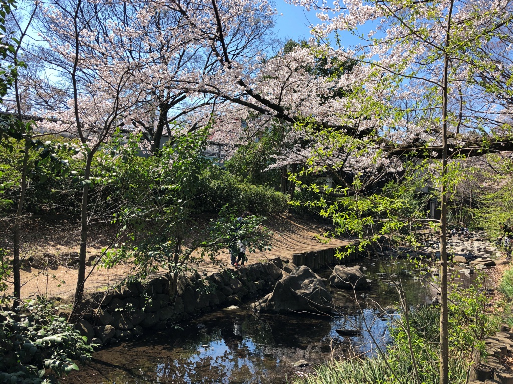 f:id:miwa3k:20190405171054j:plain