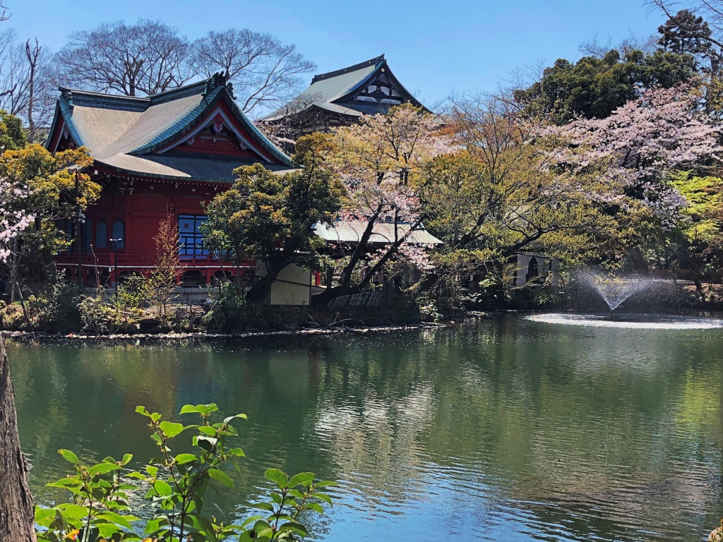 f:id:miwa3k:20190405171059j:plain