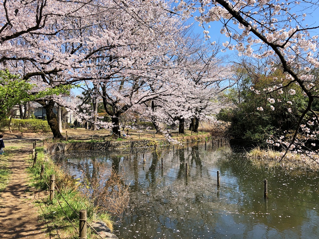 f:id:miwa3k:20190405171103j:plain