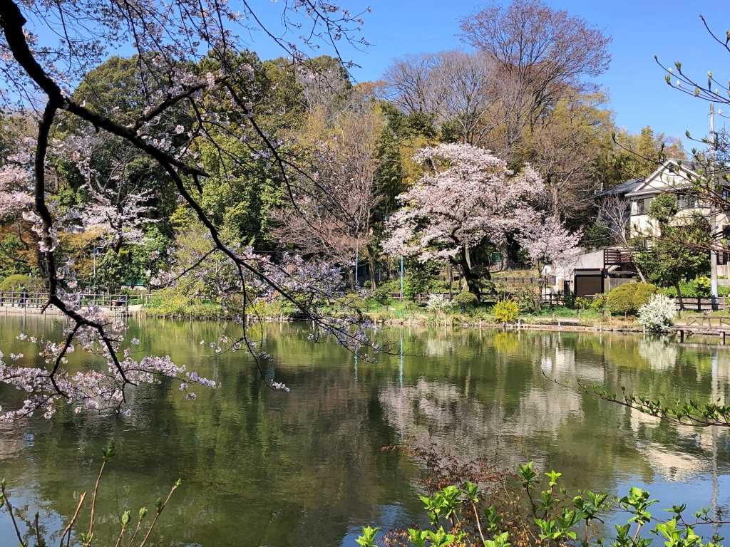 f:id:miwa3k:20190405171104j:plain