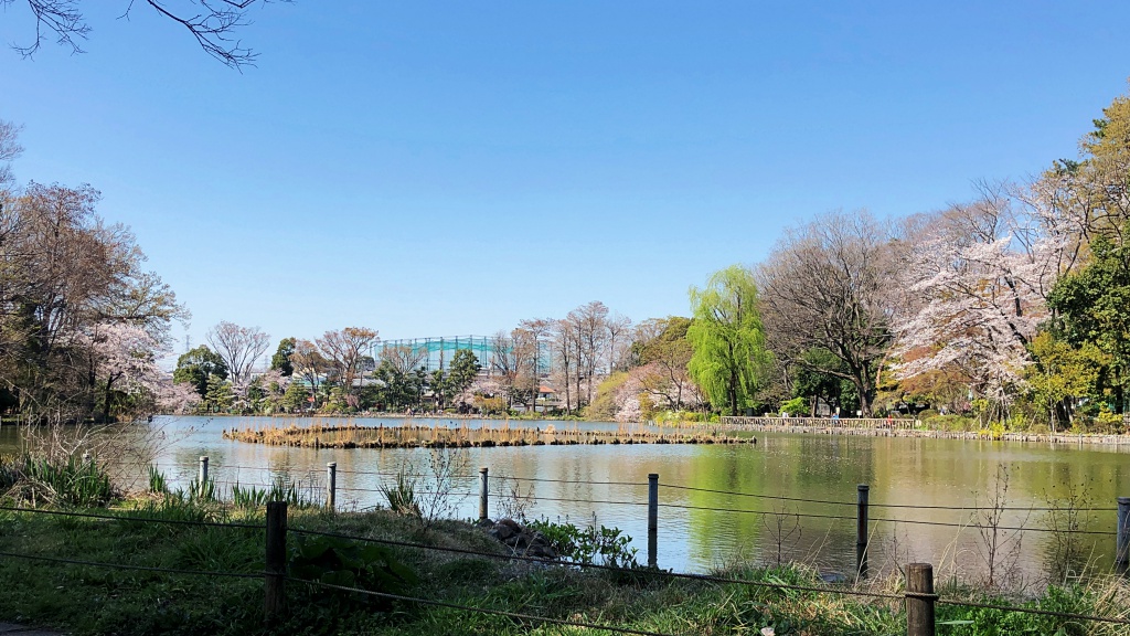 f:id:miwa3k:20190405171105j:plain