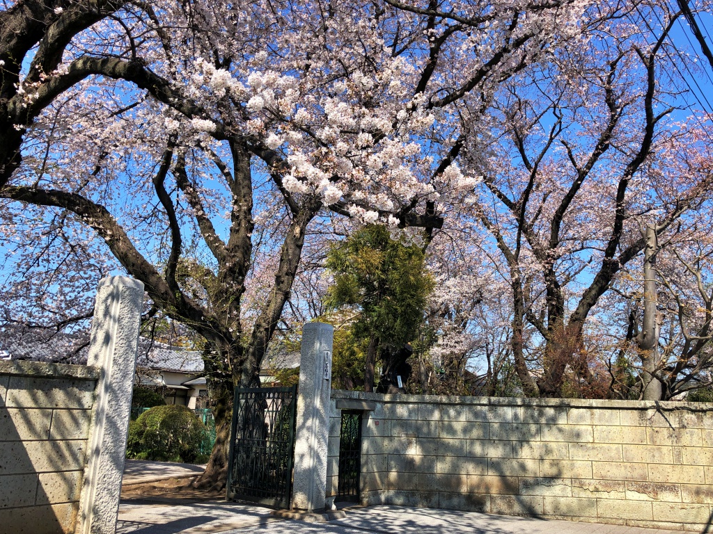 f:id:miwa3k:20190405171107j:plain