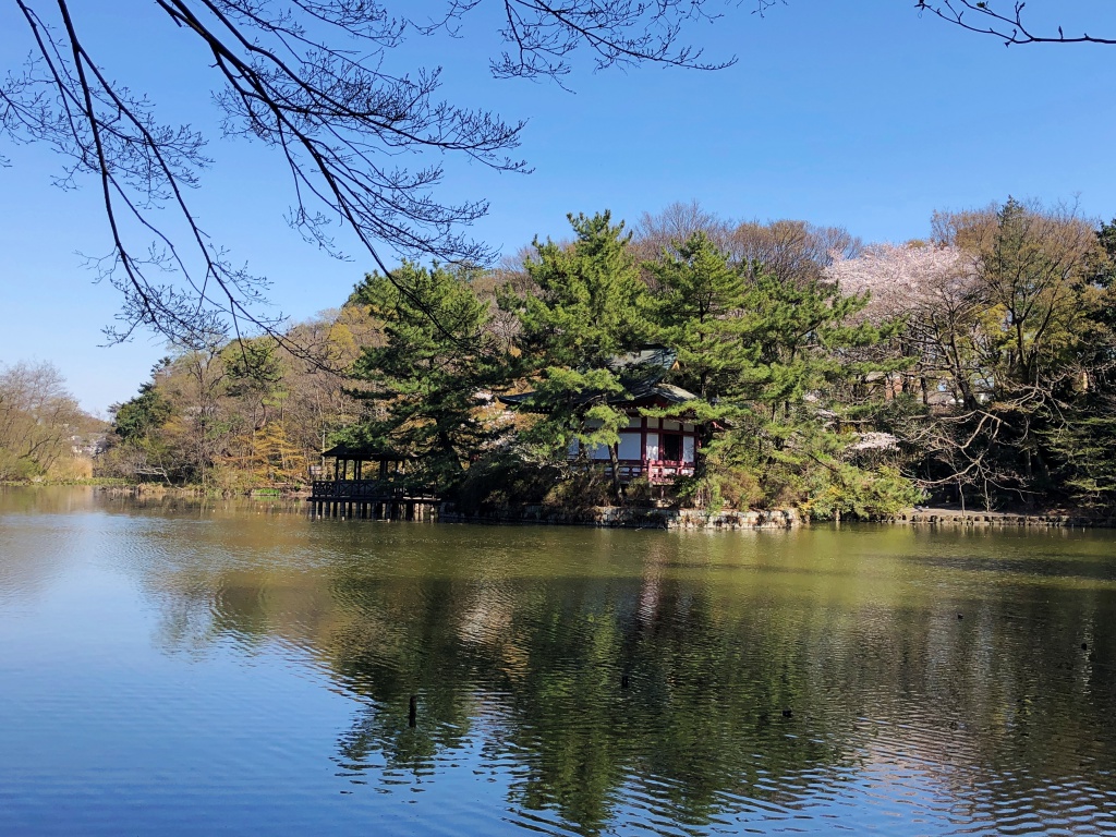 f:id:miwa3k:20190405171108j:plain