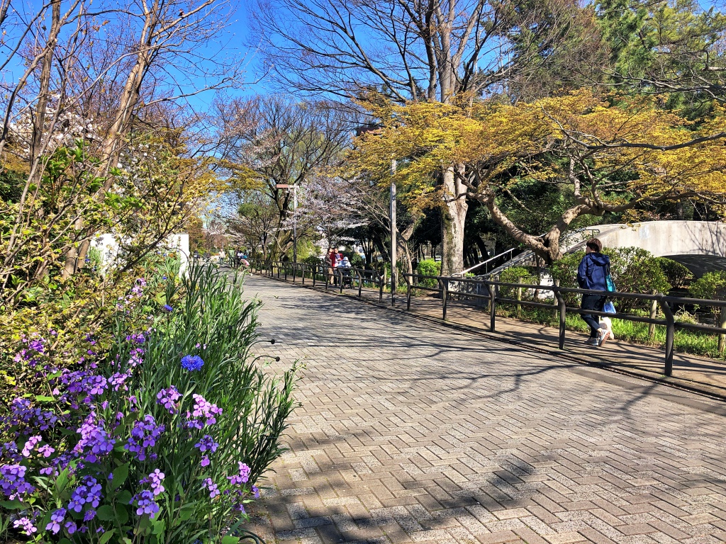 f:id:miwa3k:20190405171112j:plain