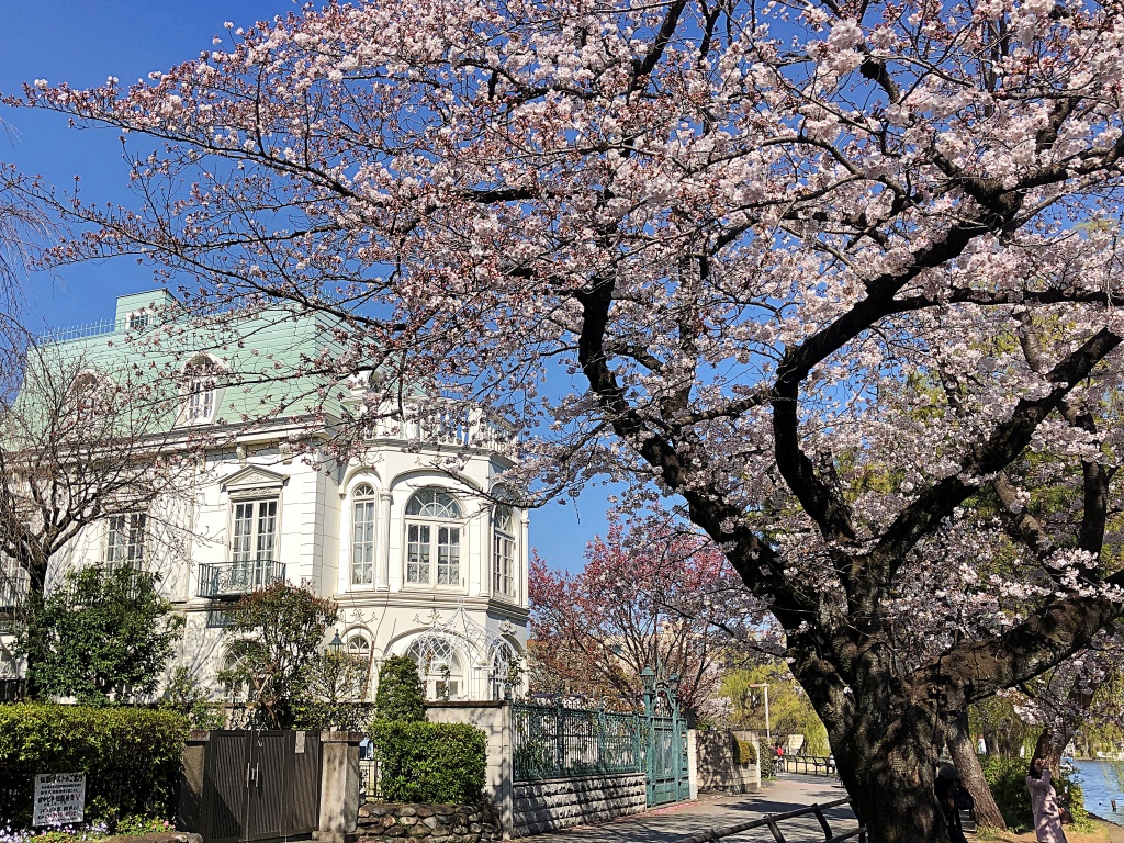f:id:miwa3k:20190405171113j:plain