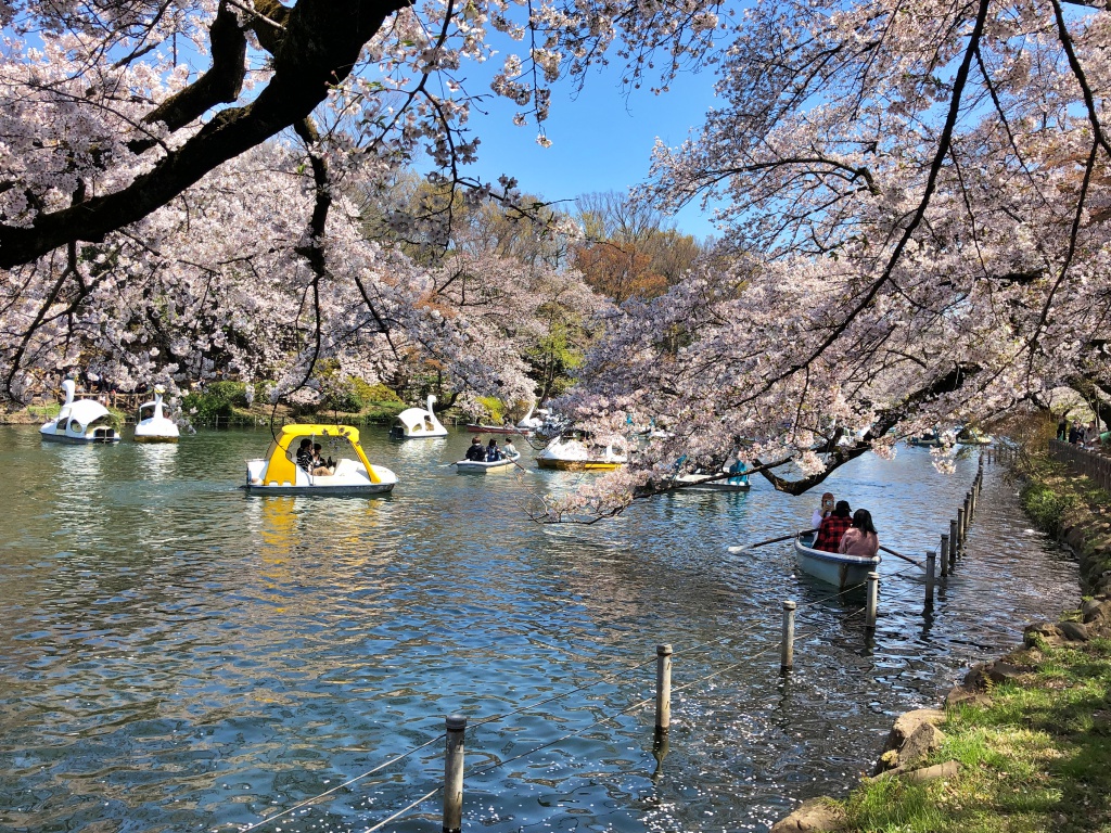 f:id:miwa3k:20190405174000j:plain