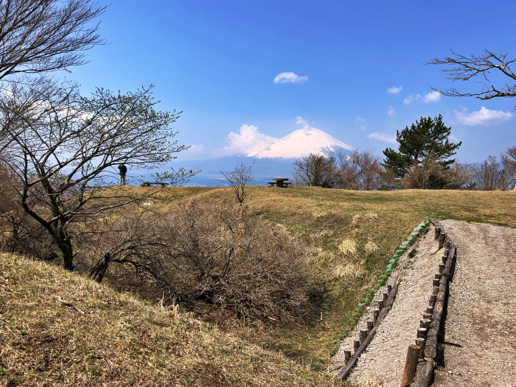 f:id:miwa3k:20190408124712j:plain