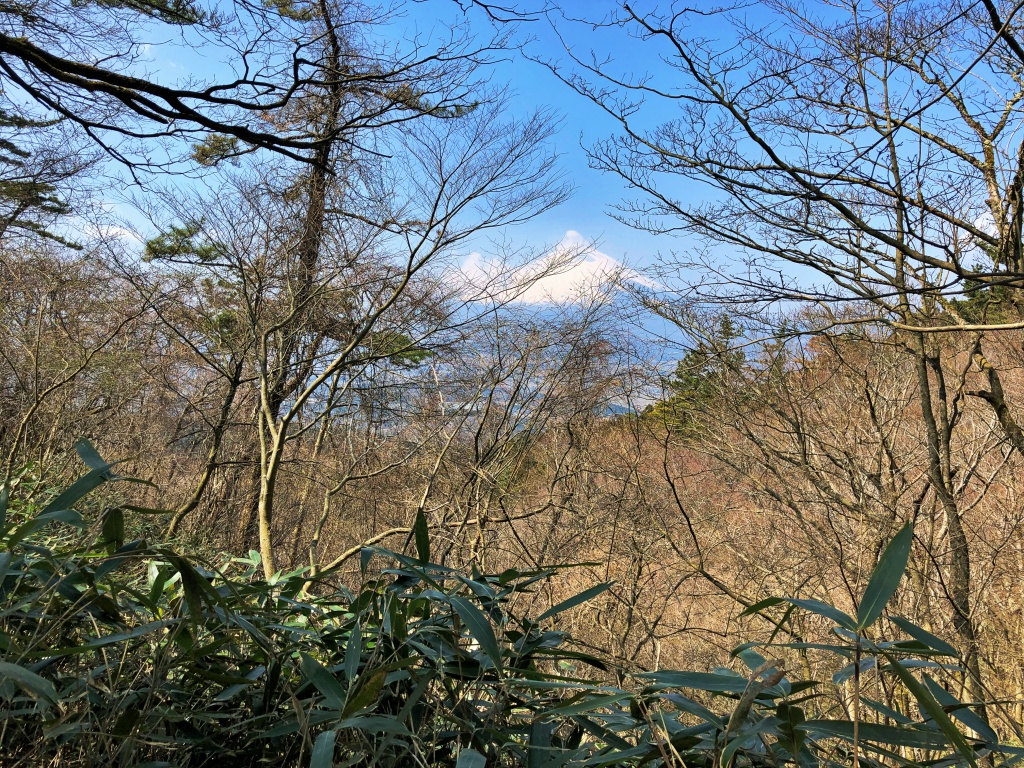 f:id:miwa3k:20190408124716j:plain