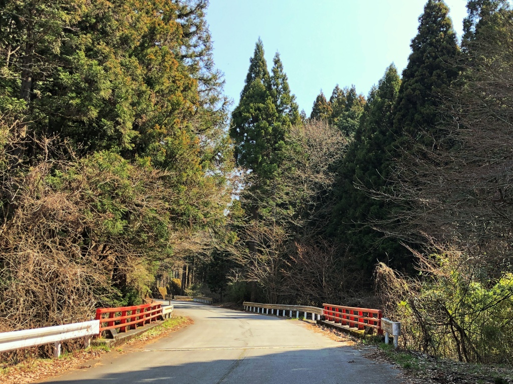 f:id:miwa3k:20190408124718j:plain
