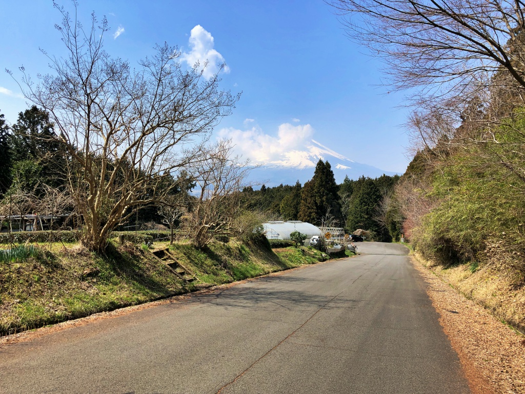 f:id:miwa3k:20190408124720j:plain