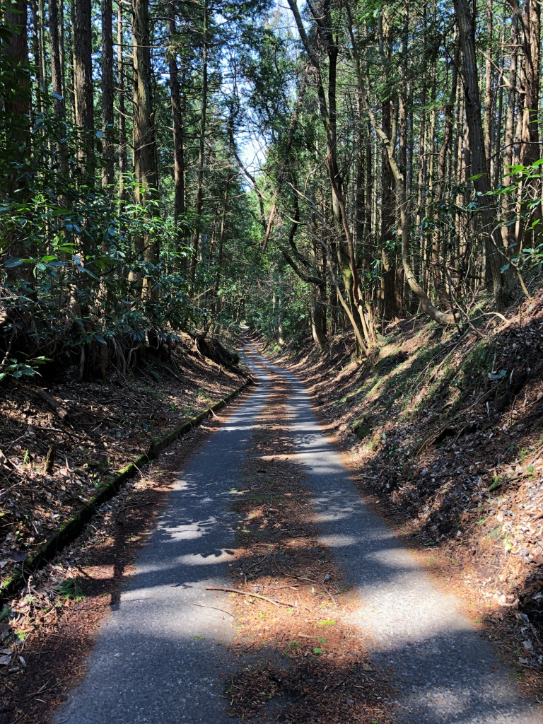f:id:miwa3k:20190408124721j:plain