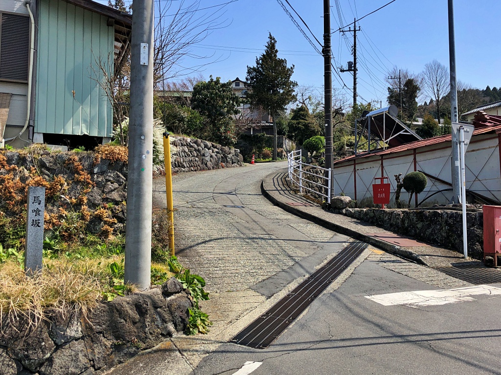 f:id:miwa3k:20190408124724j:plain