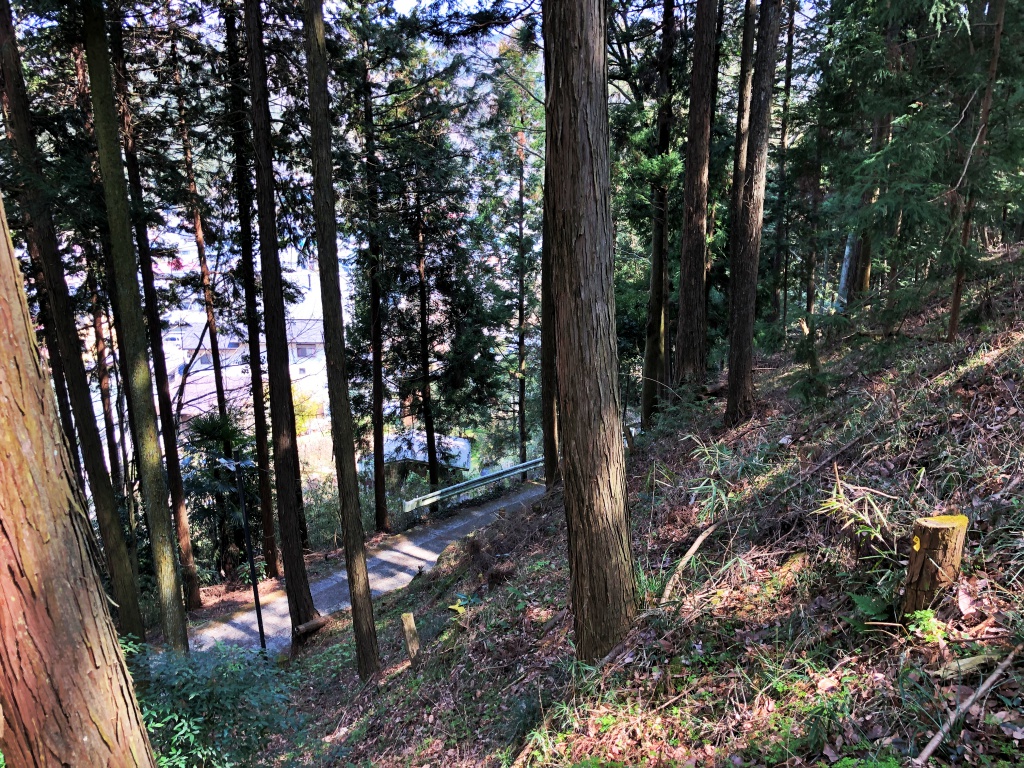 f:id:miwa3k:20190408124730j:plain