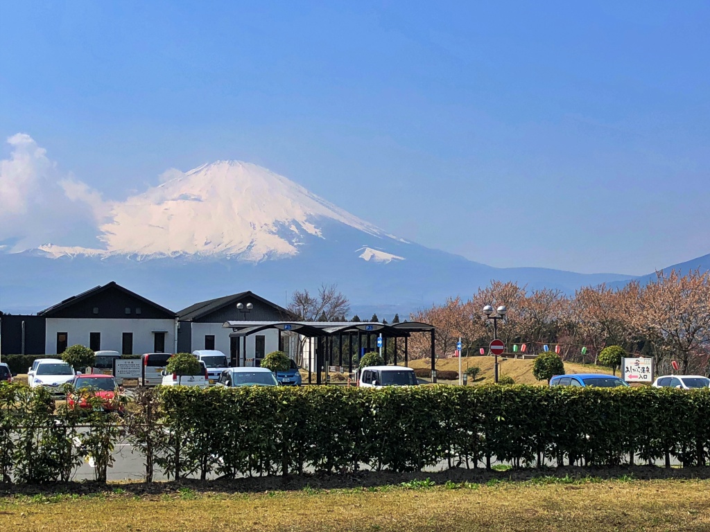 f:id:miwa3k:20190408124732j:plain